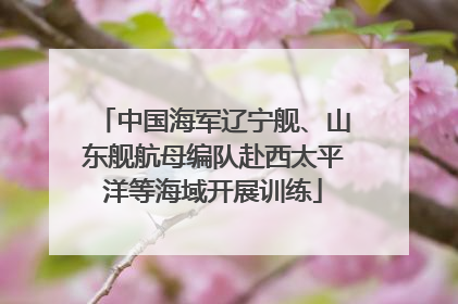 中国海军辽宁舰、山东舰航母编队赴西太平洋等海域开展训练