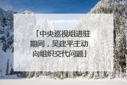中央巡视组进驻期间，吴建平主动向组织交代问题