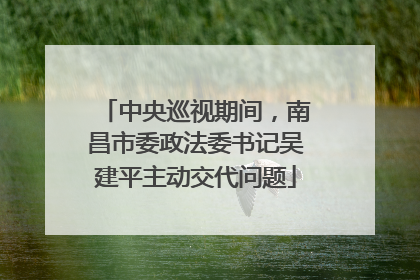 中央巡视期间，南昌市委政法委书记吴建平主动交代问题