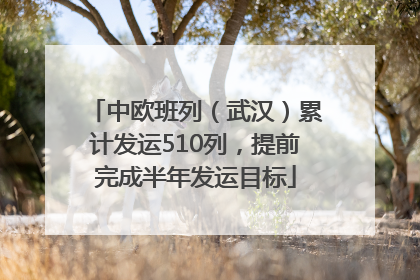中欧班列（武汉）累计发运510列，提前完成半年发运目标