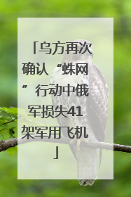乌方再次确认“蛛网”行动中俄军损失41架军用飞机