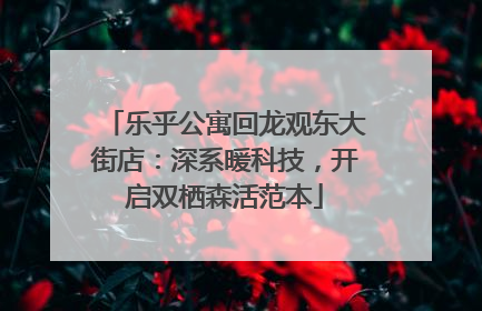 乐乎公寓回龙观东大街店：深系暖科技，开启双栖森活范本