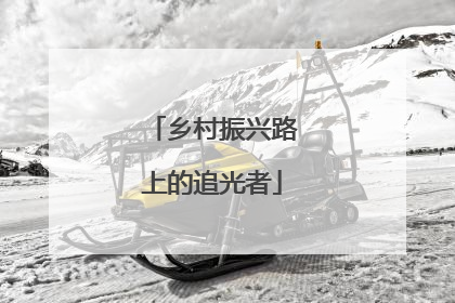 乡村振兴路上的追光者