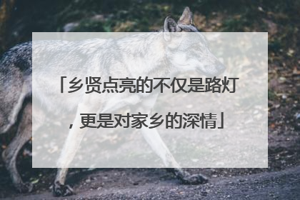 乡贤点亮的不仅是路灯，更是对家乡的深情