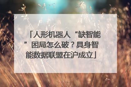 人形机器人“缺智能”困局怎么破？具身智能数据联盟在沪成立