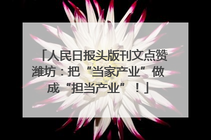 人民日报头版刊文点赞潍坊：把“当家产业”做成“担当产业”！