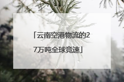 云南空港物流的27万吨全球竞速