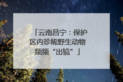 云南昌宁：保护区内珍稀野生动物频频“出镜”