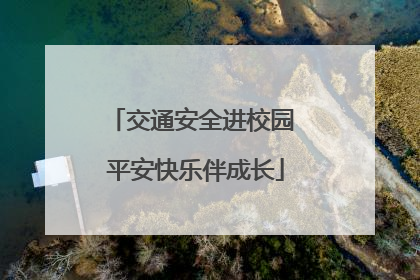 交通安全进校园 平安快乐伴成长