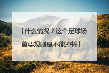 什么情况？这个足球场首要规则是不能冲撞