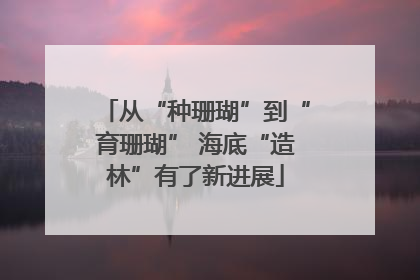 从“种珊瑚”到“育珊瑚” 海底“造林”有了新进展