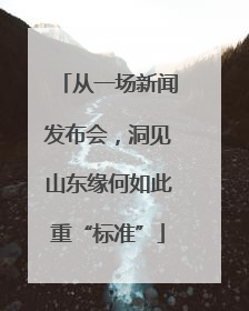 从一场新闻发布会，洞见山东缘何如此重“标准”