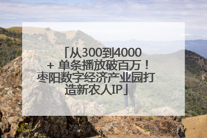 从300到4000+ 单条播放破百万！枣阳数字经济产业园打造新农人IP