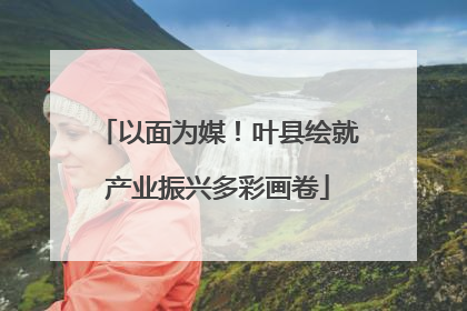以面为媒！叶县绘就产业振兴多彩画卷