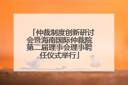 仲裁制度创新研讨会暨海南国际仲裁院第二届理事会理事聘任仪式举行