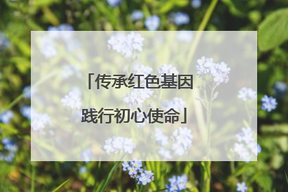 传承红色基因 践行初心使命