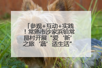 参观+互动+实践！常熟市沙家浜镇常昆村开展“爱‘新’之旅‘蔬’适生活”参观学习活动