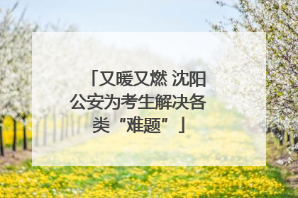又暖又燃 沈阳公安为考生解决各类“难题”