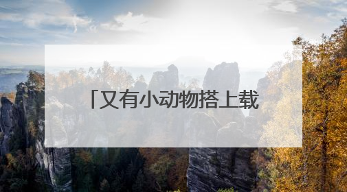 又有小动物搭上载人飞船去太空了！为什么模式生物能成为“探索代表”？