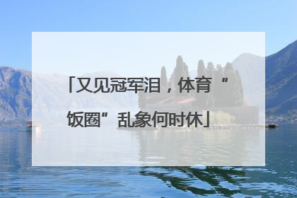 又见冠军泪，体育“饭圈”乱象何时休