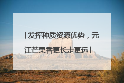 发挥种质资源优势，元江芒果香更长走更远
