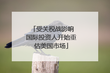 受关税战影响 国际投资人开始重估美国市场