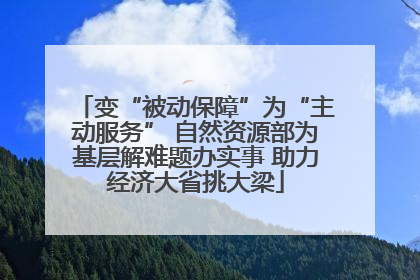 变“被动保障”为“主动服务” 自然资源部为基层解难题办实事 助力经济大省挑大梁
