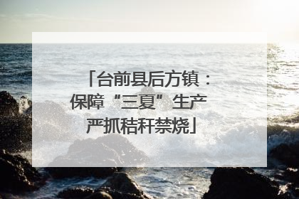台前县后方镇：保障“三夏”生产 严抓秸秆禁烧