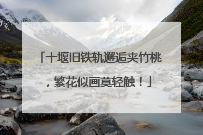 十堰旧铁轨邂逅夹竹桃，繁花似画莫轻触！