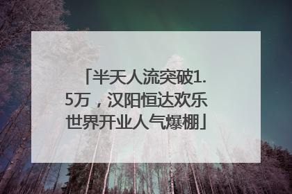 半天人流突破1.5万，汉阳恒达欢乐世界开业人气爆棚