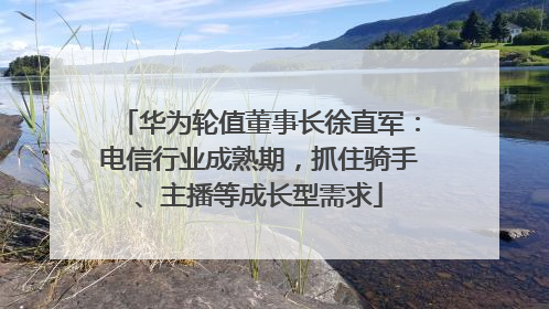 华为轮值董事长徐直军：电信行业成熟期，抓住骑手、主播等成长型需求