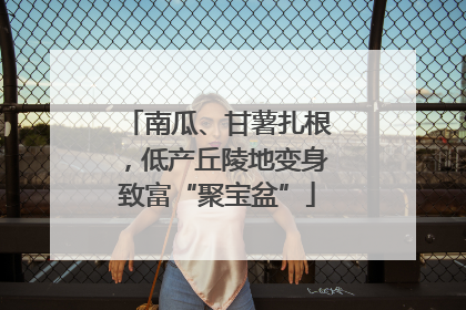 南瓜、甘薯扎根，低产丘陵地变身致富“聚宝盆”