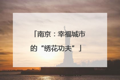 南京：幸福城市的“绣花功夫”