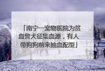 南宁一宠物医院为贫血警犬征集血源，有人带狗狗前来抽血配型