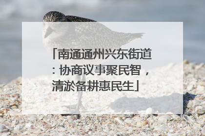 南通通州兴东街道：协商议事聚民智，清淤备耕惠民生