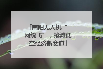 南阳无人机“一网统飞”，抢滩低空经济新赛道