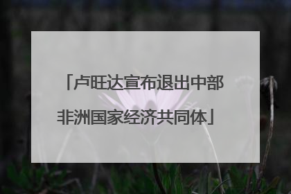 卢旺达宣布退出中部非洲国家经济共同体