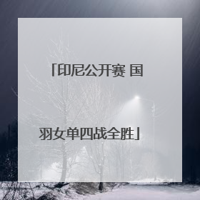 印尼公开赛 国羽女单四战全胜