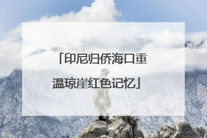 印尼归侨海口重温琼崖红色记忆