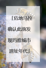 危地马拉确认此前发现玛雅城市遗址年代