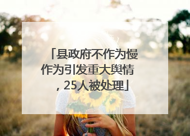 县政府不作为慢作为引发重大舆情，25人被处理