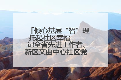 倾心基层“智”理 托起社区幸福——记全省先进工作者、新区文曲中心社区党委书记董世弘