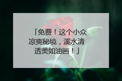 免费！这个小众凉爽秘境，溪水清透美如油画！