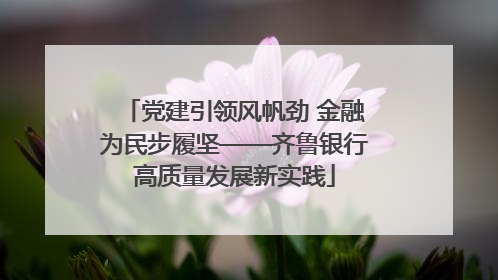 党建引领风帆劲 金融为民步履坚——齐鲁银行高质量发展新实践