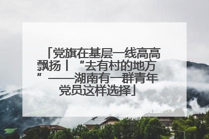 党旗在基层一线高高飘扬丨“去有村的地方”——湖南有一群青年党员这样选择