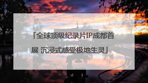 全球顶级纪录片IP成都首展 沉浸式感受极地生灵