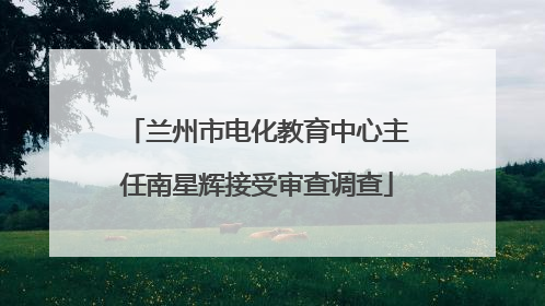 兰州市电化教育中心主任南星辉接受审查调查