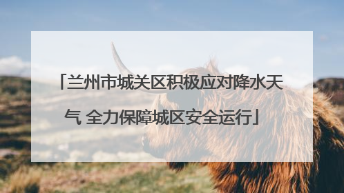 兰州市城关区积极应对降水天气 全力保障城区安全运行