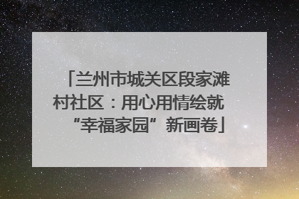 兰州市城关区段家滩村社区：用心用情绘就“幸福家园”新画卷