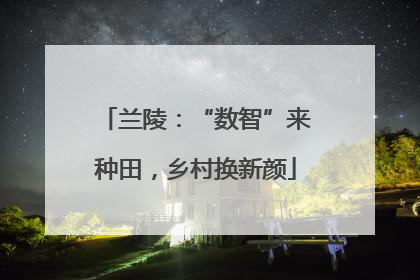 兰陵：“数智”来种田，乡村换新颜